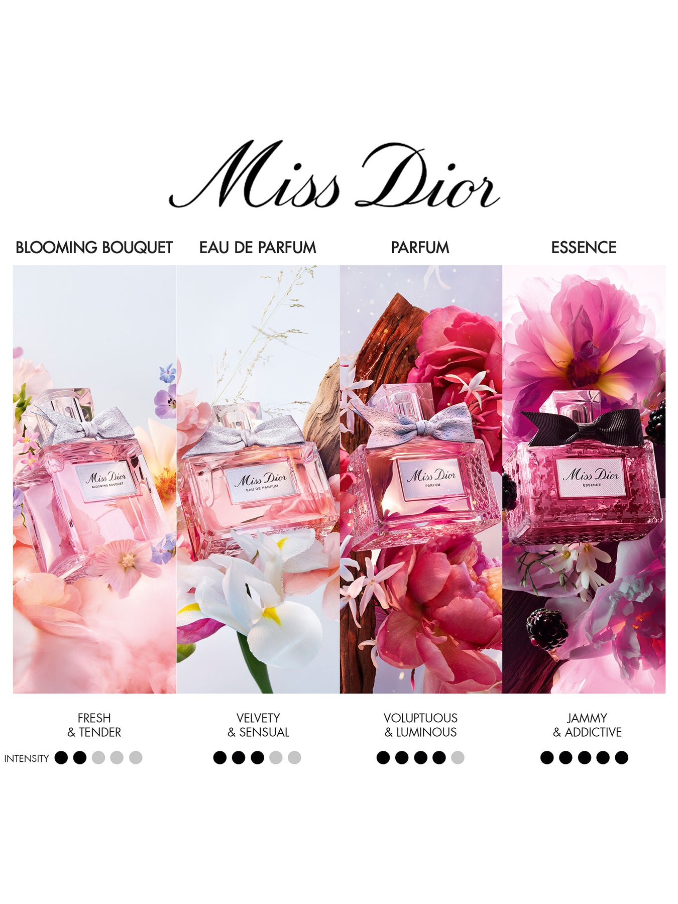 Miss Dior Parfum 80ml Limited Edition Case