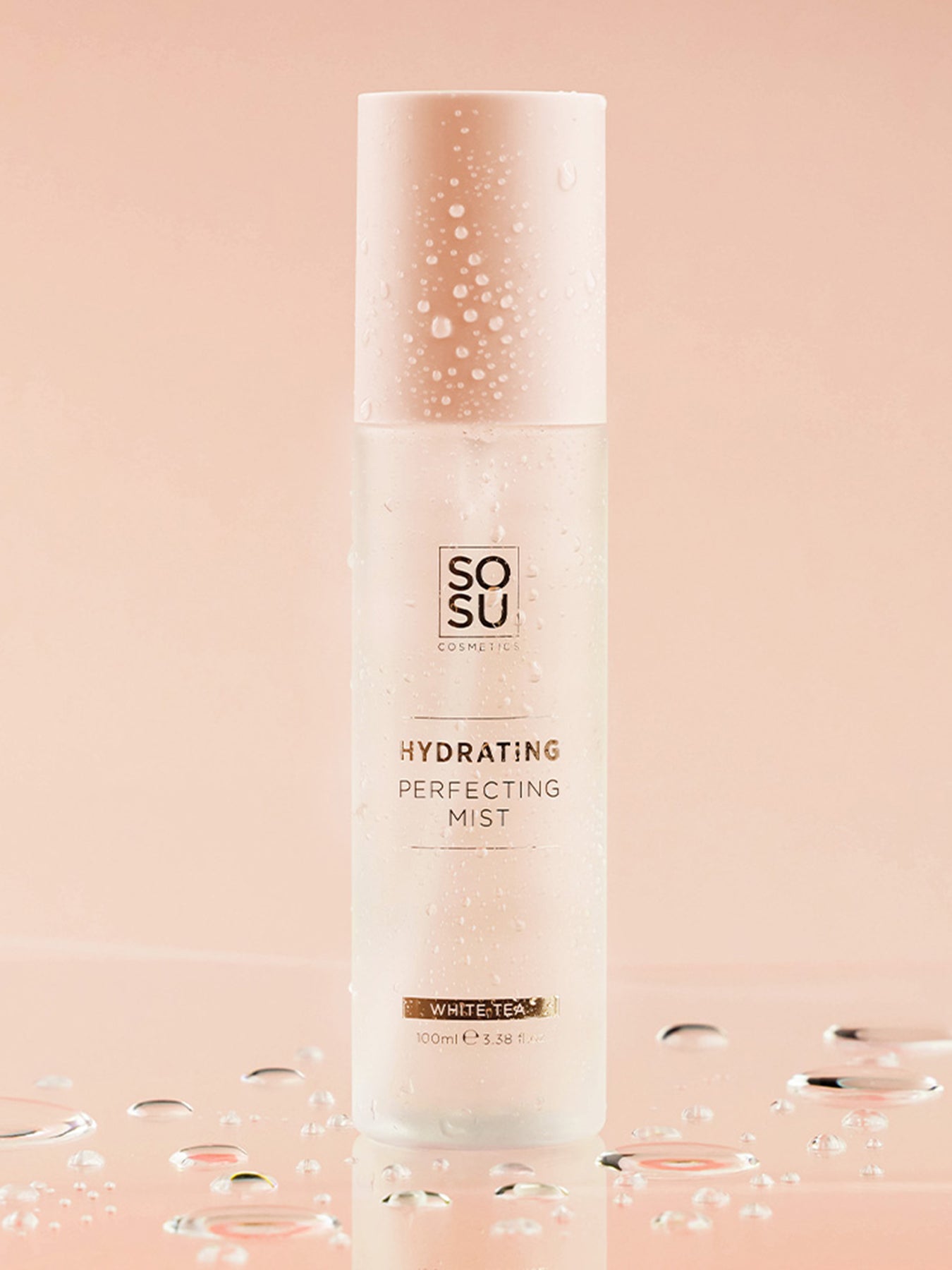 Hydrating Perfecting Mist 100ml