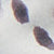 Bio Ink Leopard Print