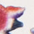 Multicolour