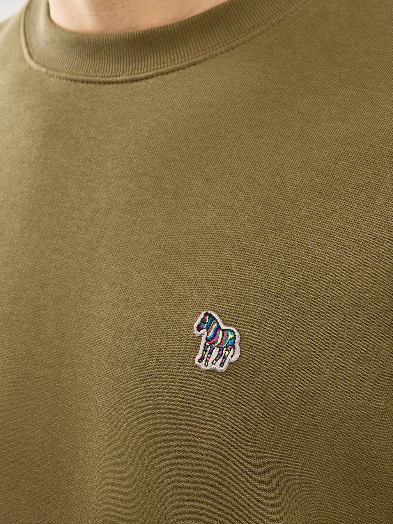 Zebra Sweatshirt Green
