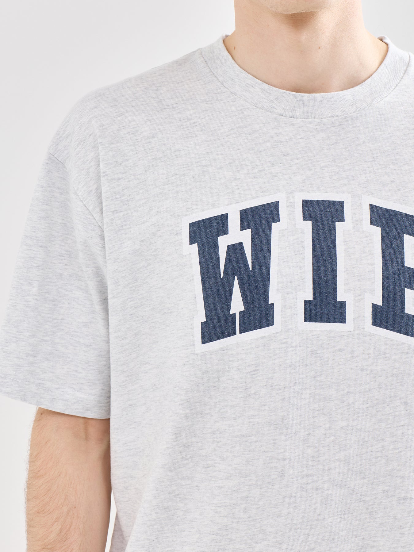 WIP III Organic Cotton T-Shirt Grey