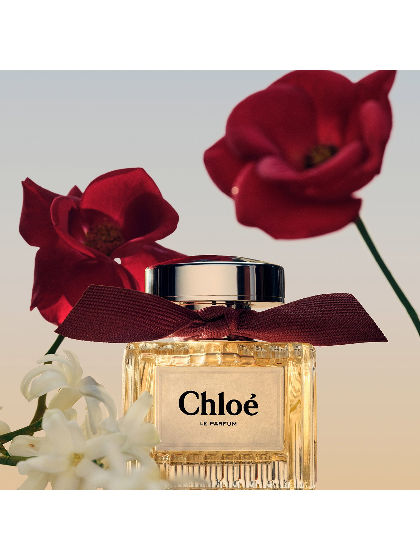 Chloe Le Parfum 50ml Eau de Parfum