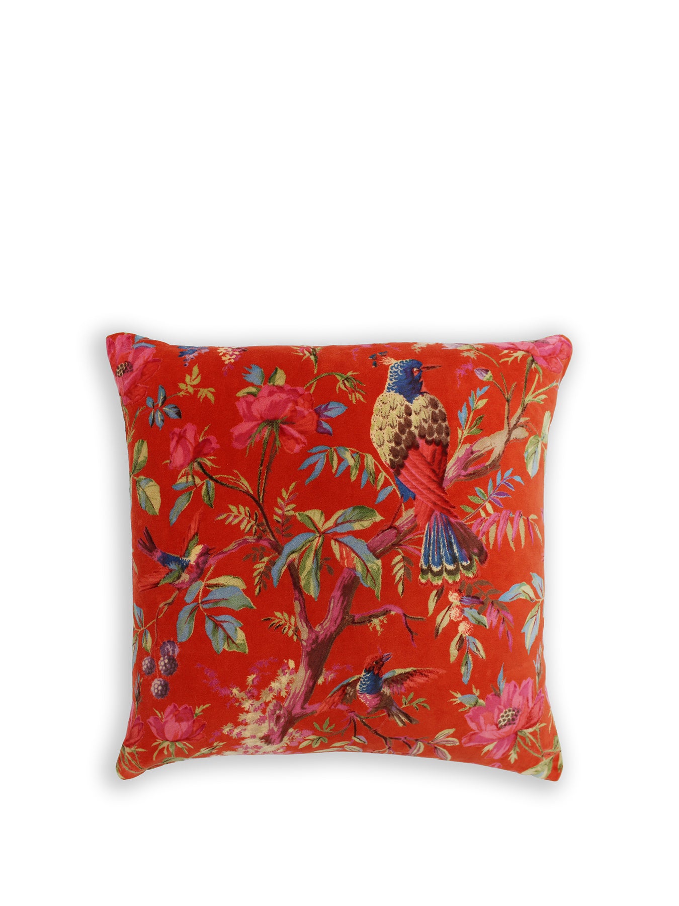 Paradise 50x50 Cushion Orange