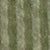 Supply Olive/Garden Trail Mult
