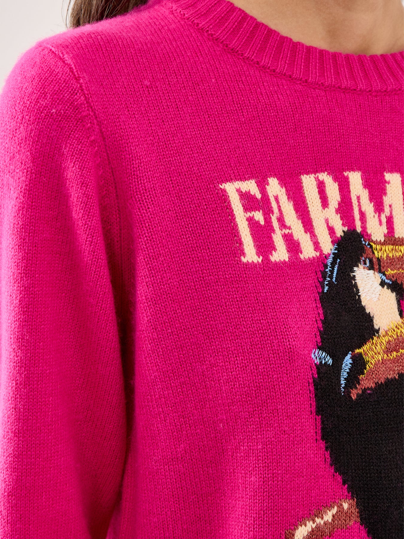Tucan Intarsia Knit Sweater Multi