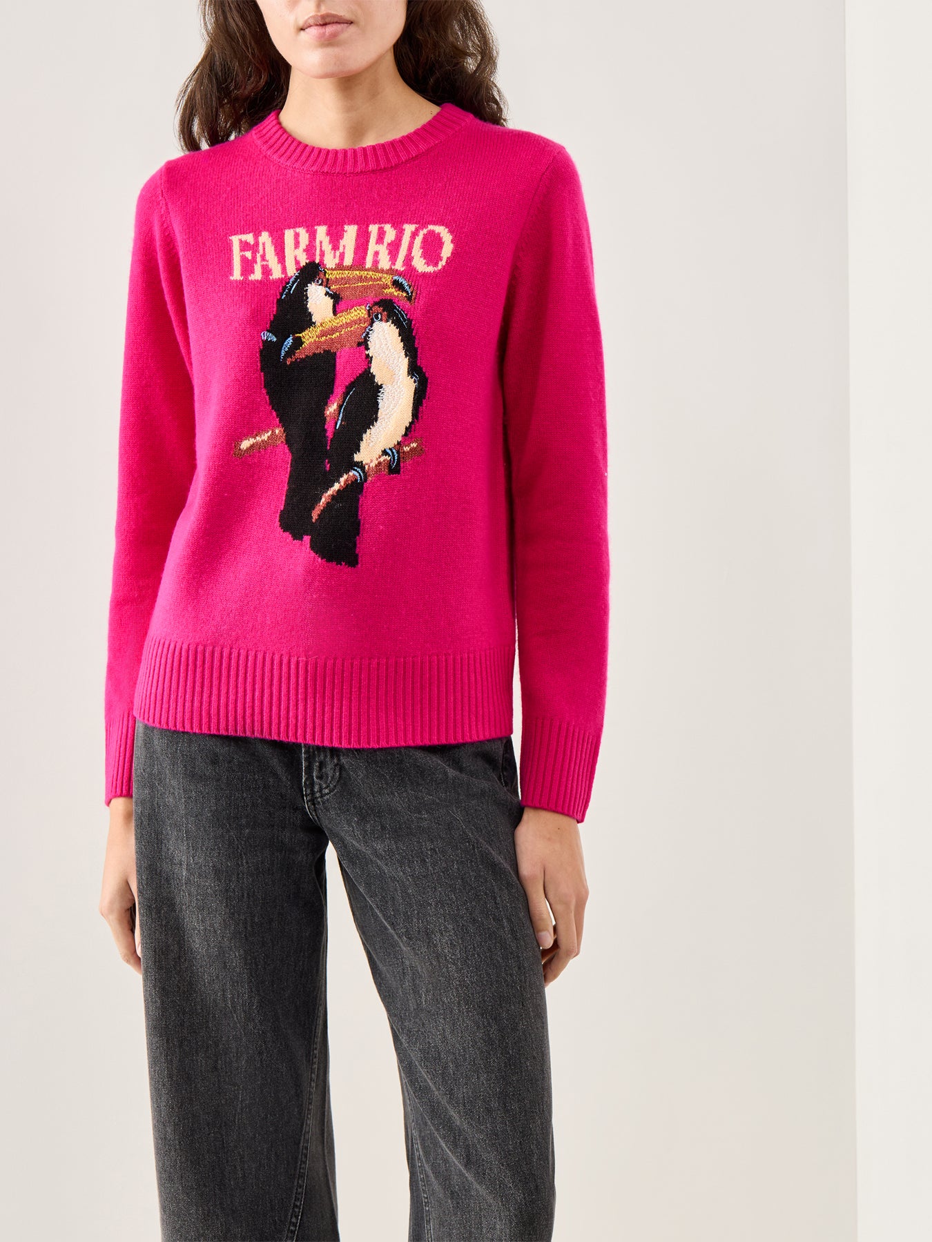 Tucan Intarsia Knit Sweater Multi