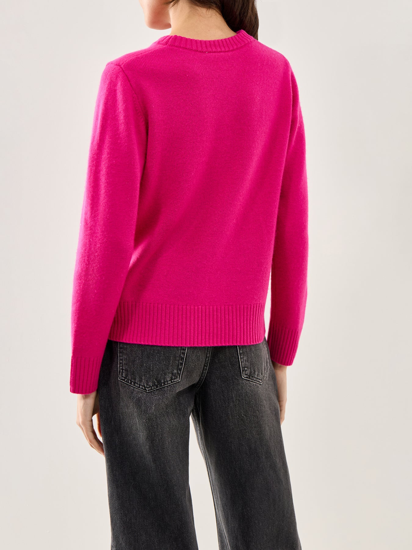 Tucan Intarsia Knit Sweater Multi