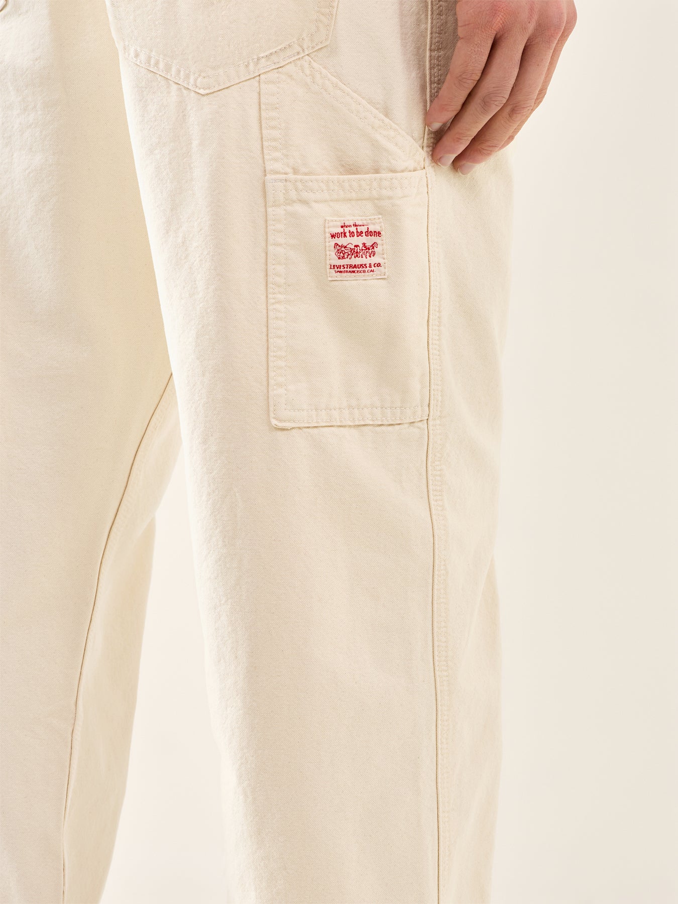 568 Loose Strt Carpenter Pant