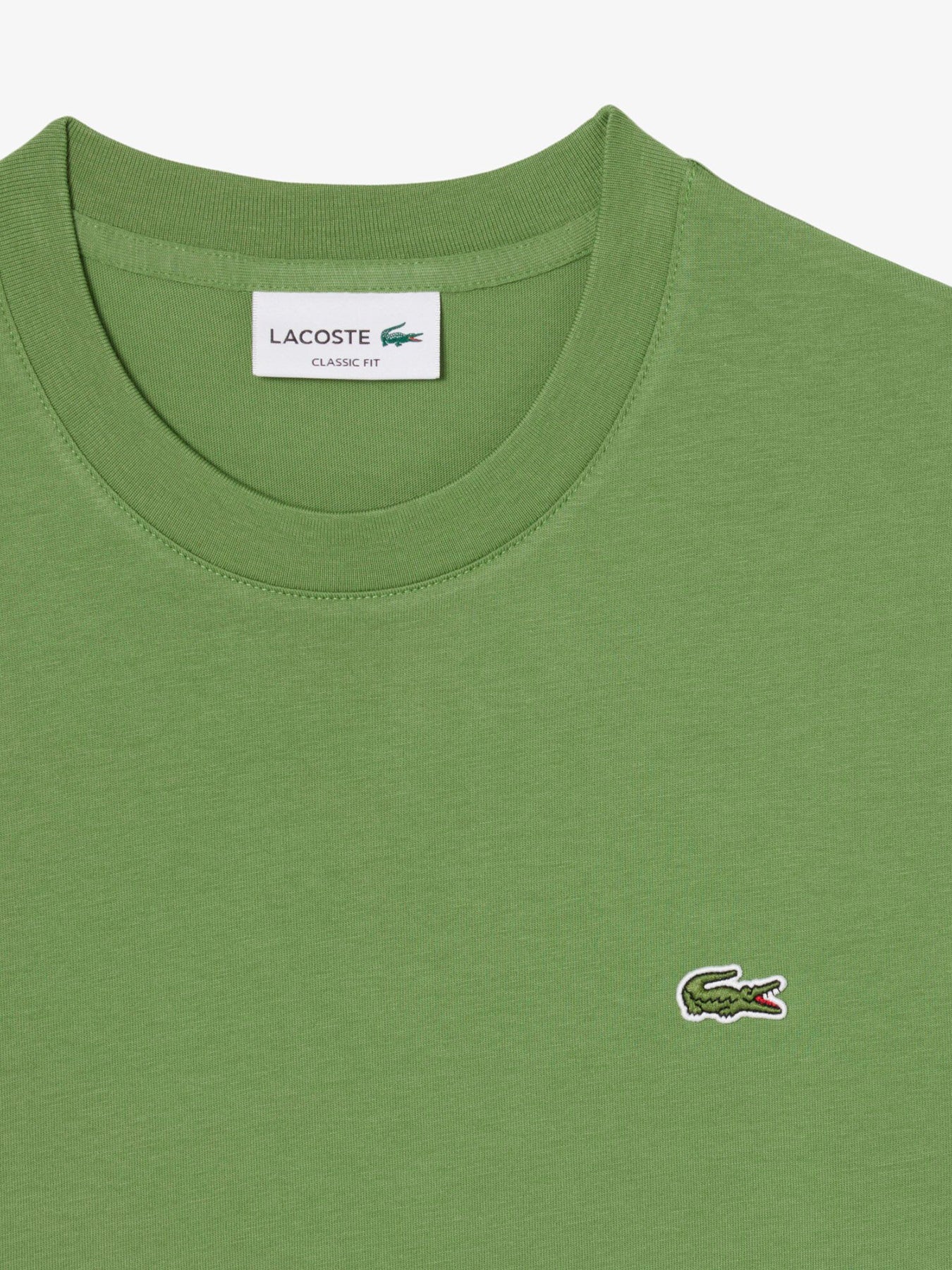 Pima Cotton T-Shirt Green