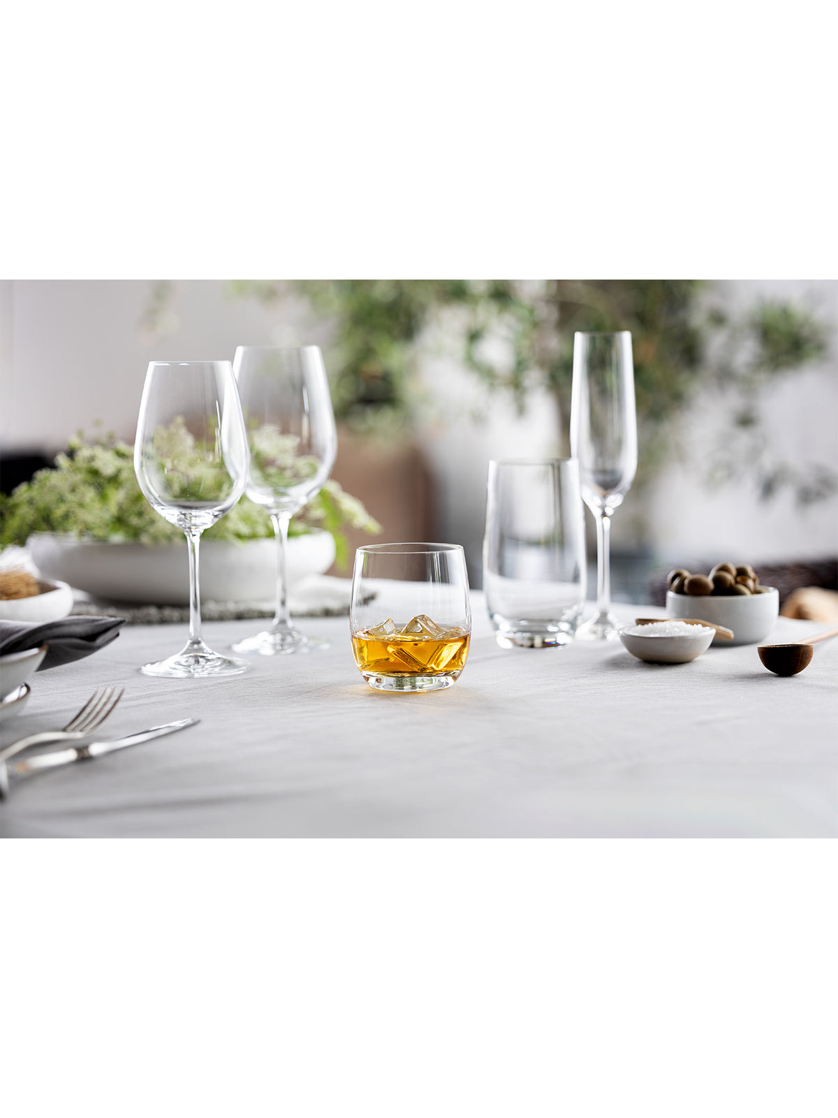 Wine & Dine White Wine Glasses Set of 6
