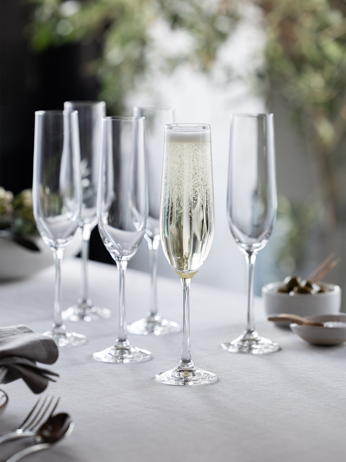 Wine & Dine Champagne Flutes Set of 6