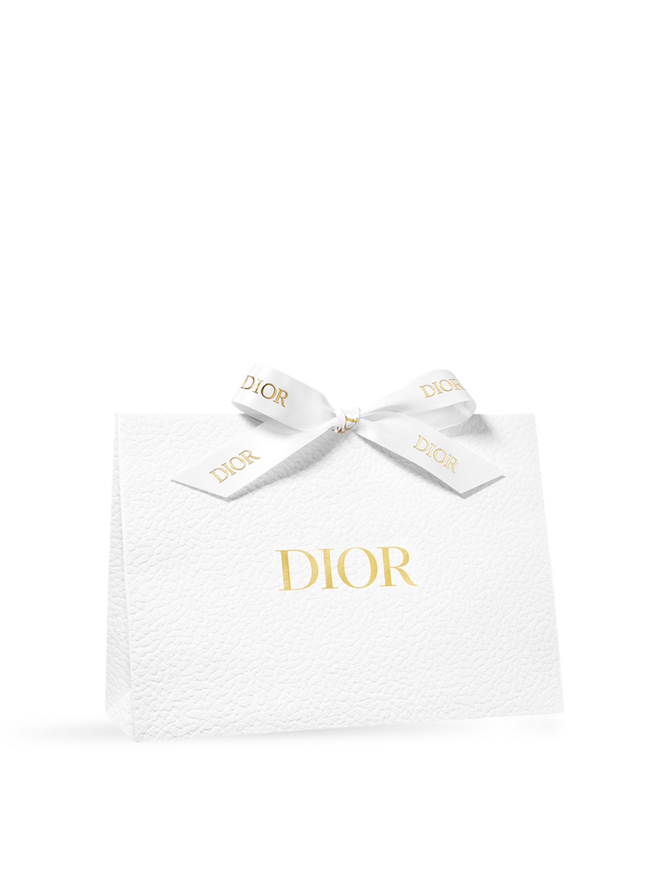 Dior Christmas Gift Bag Free Gift