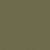 Olive Night