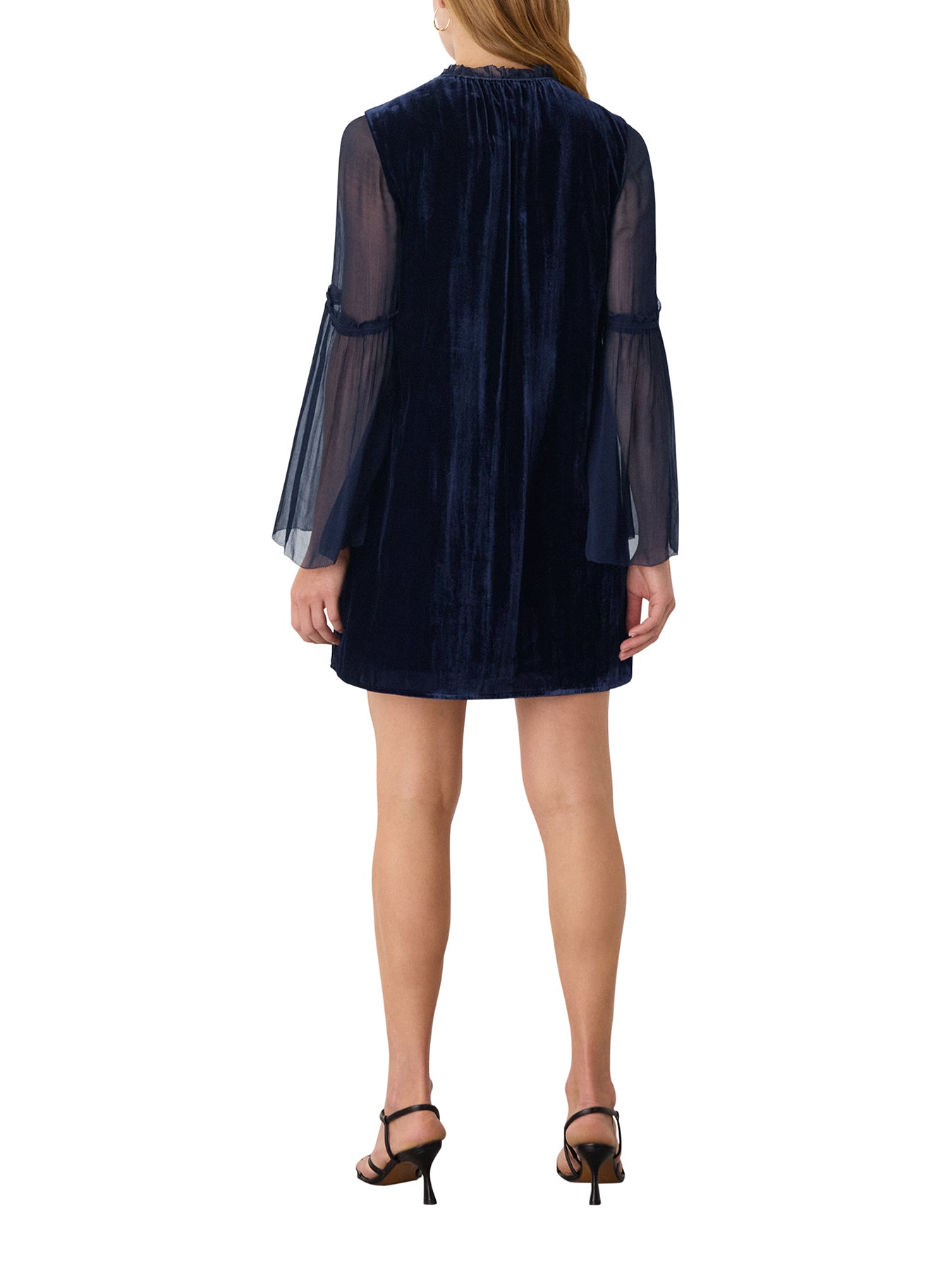 Velvet Sheer Sleeve Dress