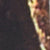 Multi