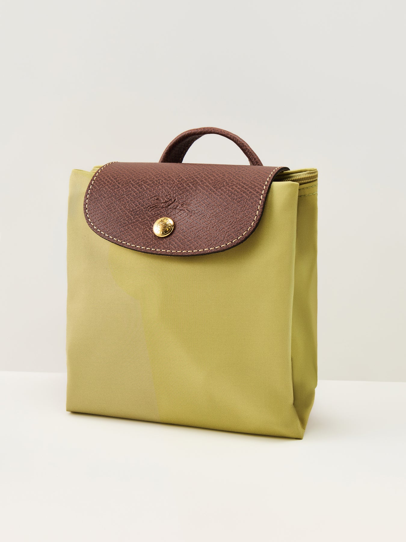 Le Pliage Original Medium Backpack Pistachio