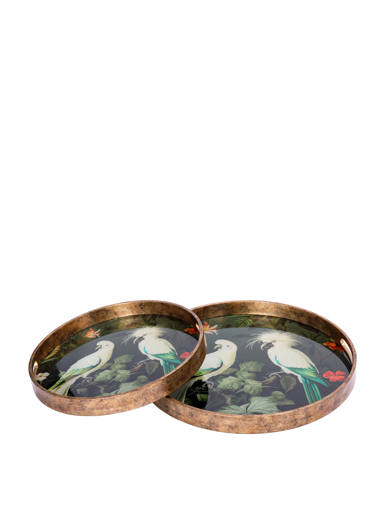 Tropical Birds Tray Set of 2