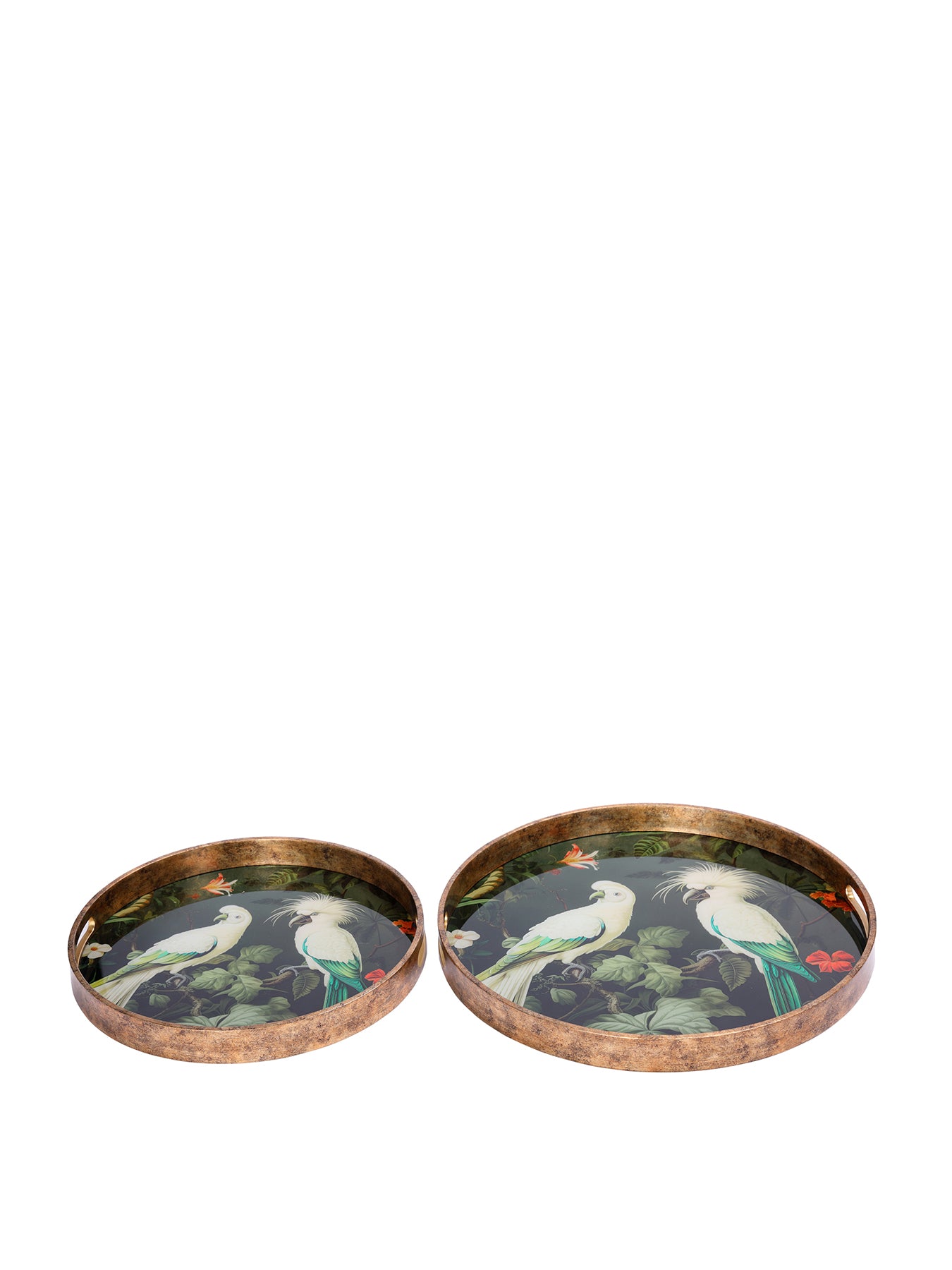 Tropical Birds Tray Set of 2