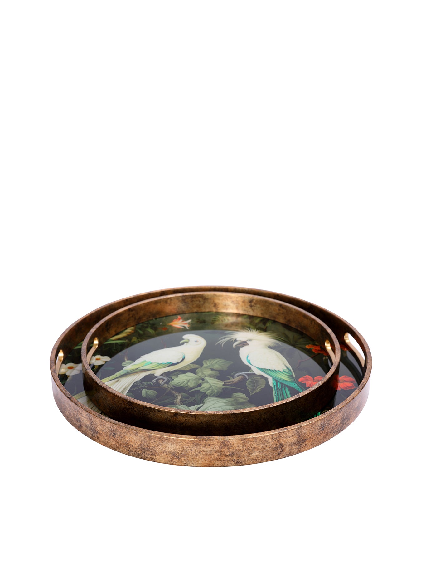 Tropical Birds Tray Set of 2