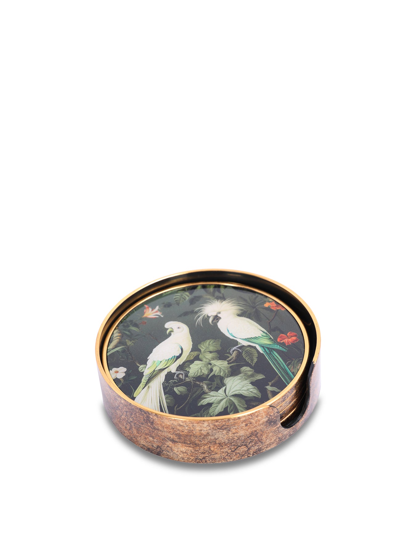 Tropical Birds Coaster Set