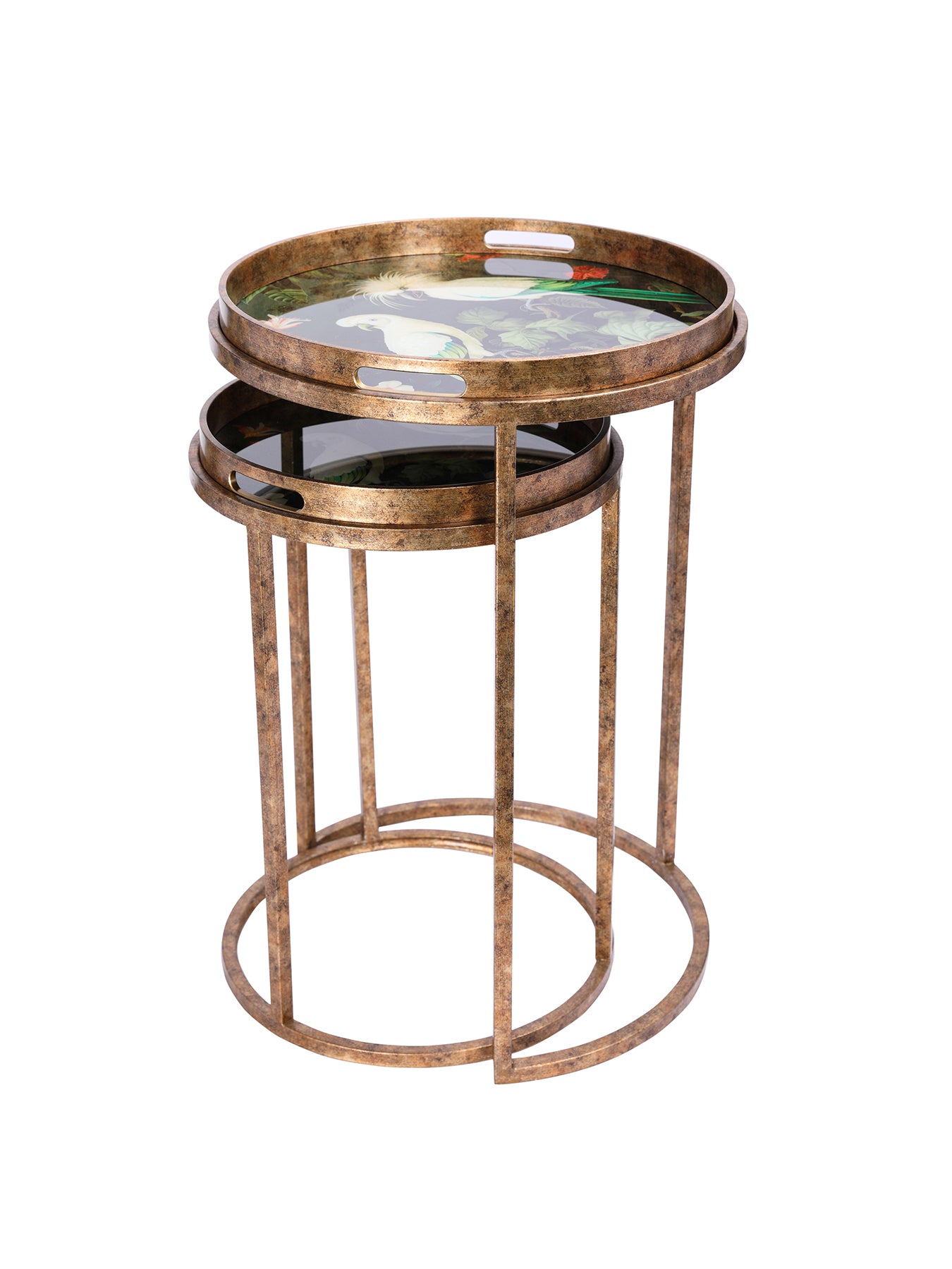 Tropical Birds Tray Tables Set of 2 Gold