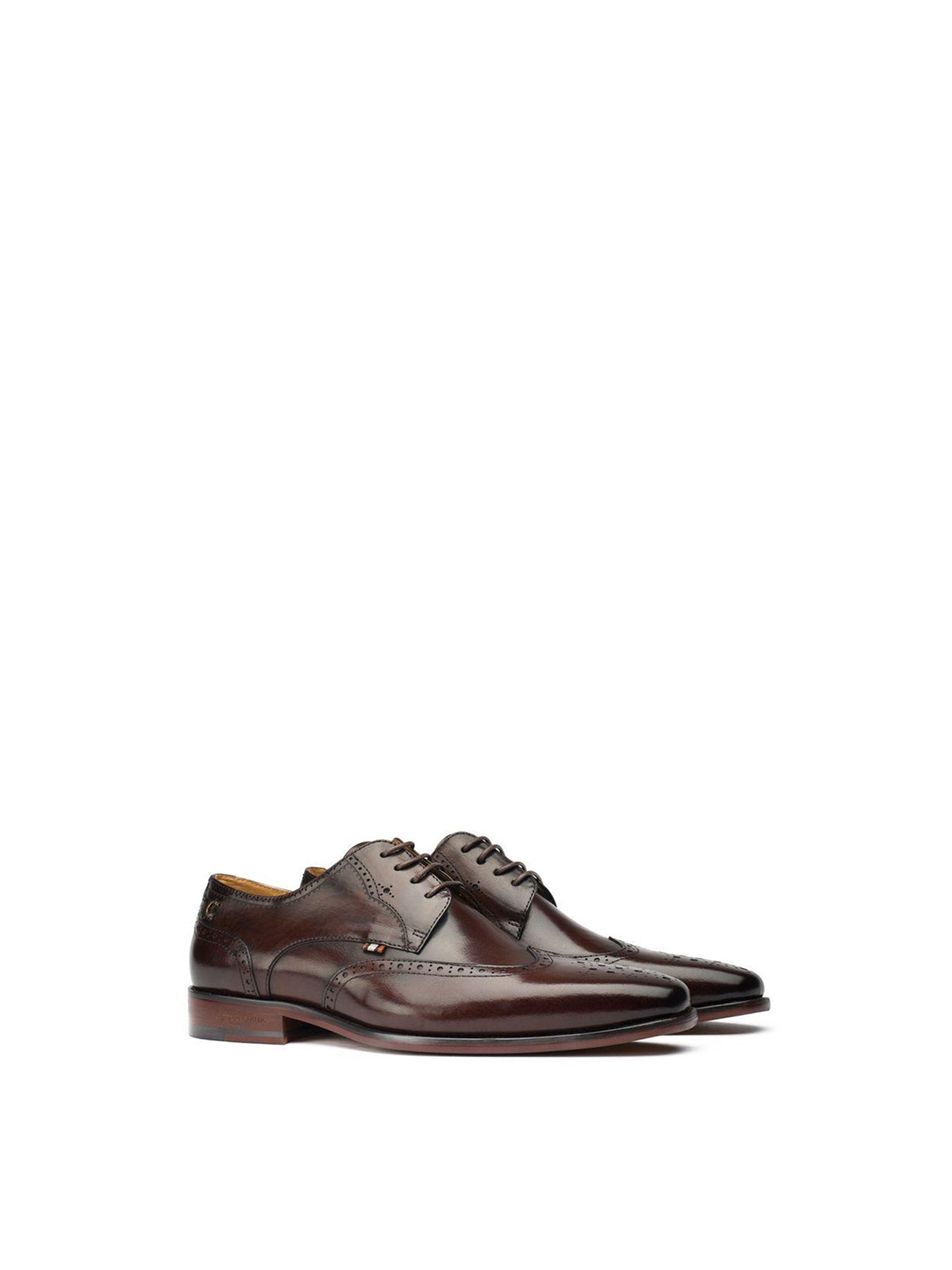 Beagle Leather Derby Shoes Brown