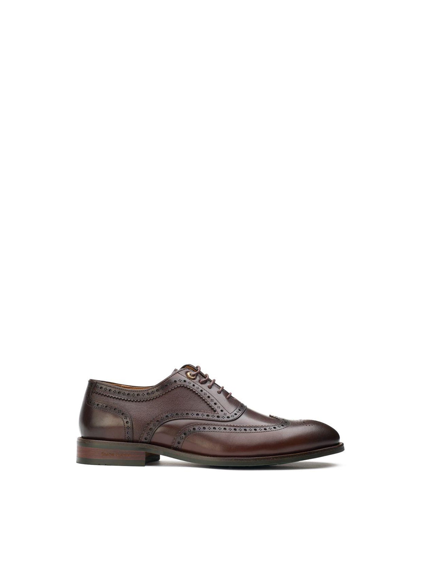 Diplodocus Leather Brogue Shoes Brown