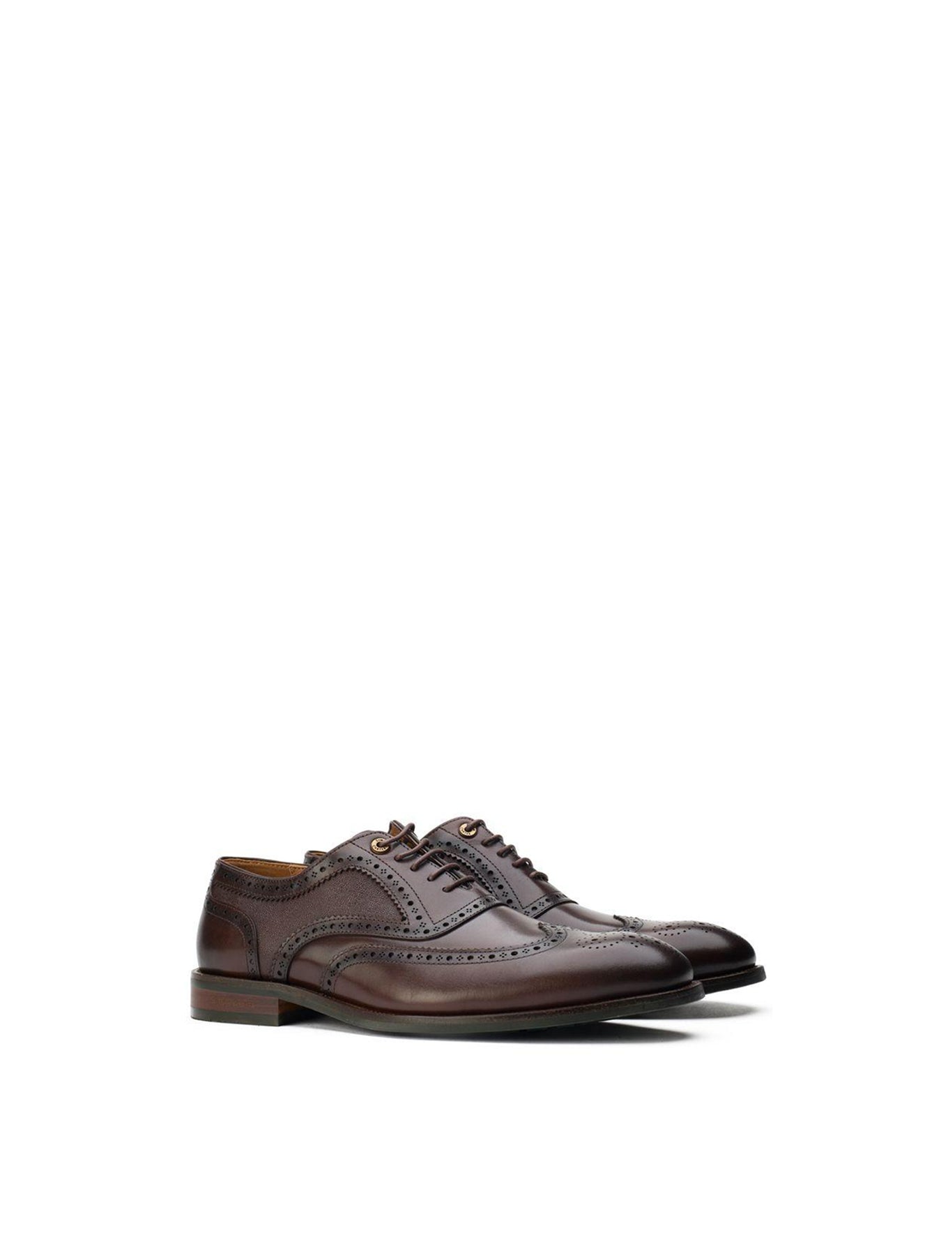 Diplodocus Leather Brogue Shoes Brown