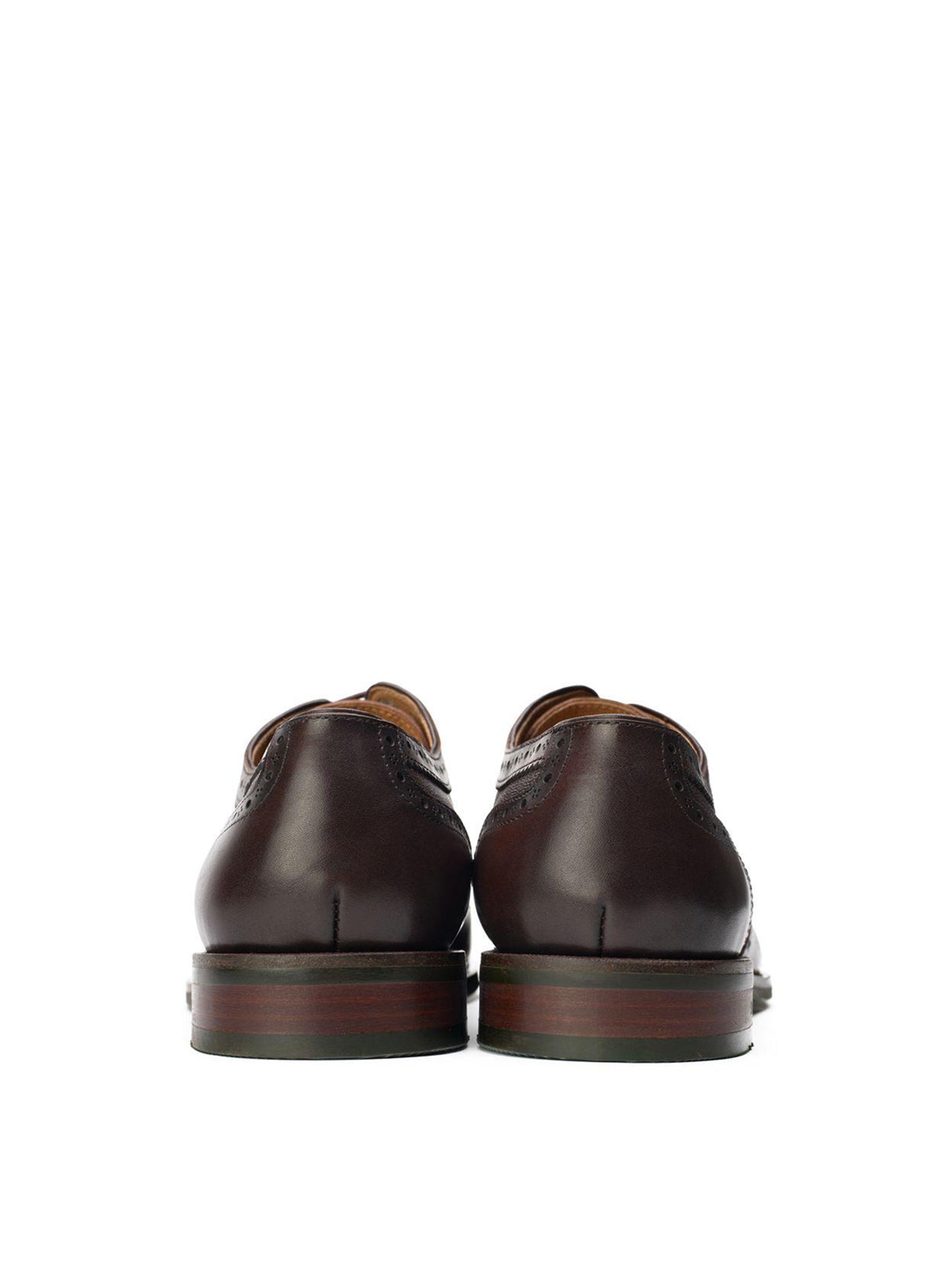 Diplodocus Leather Brogue Shoes Brown