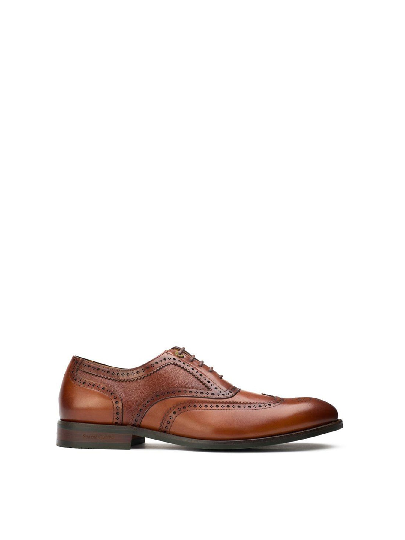Diplodocus Leather Brogue Shoes Tan