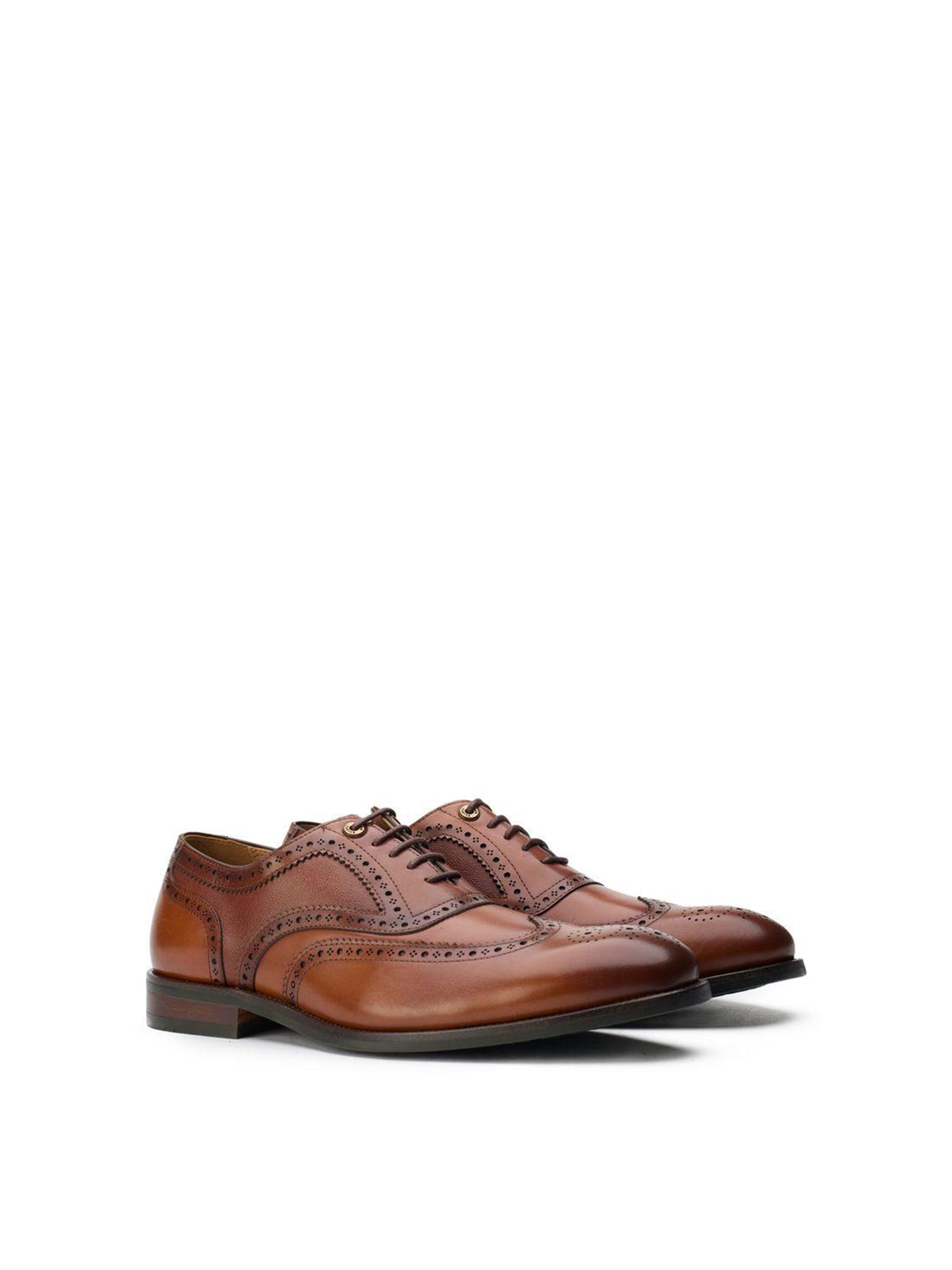 Diplodocus Leather Brogue Shoes Tan