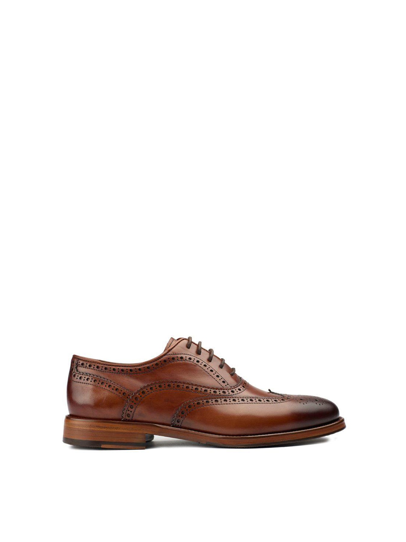 Elcho Brogue Shoes Tan