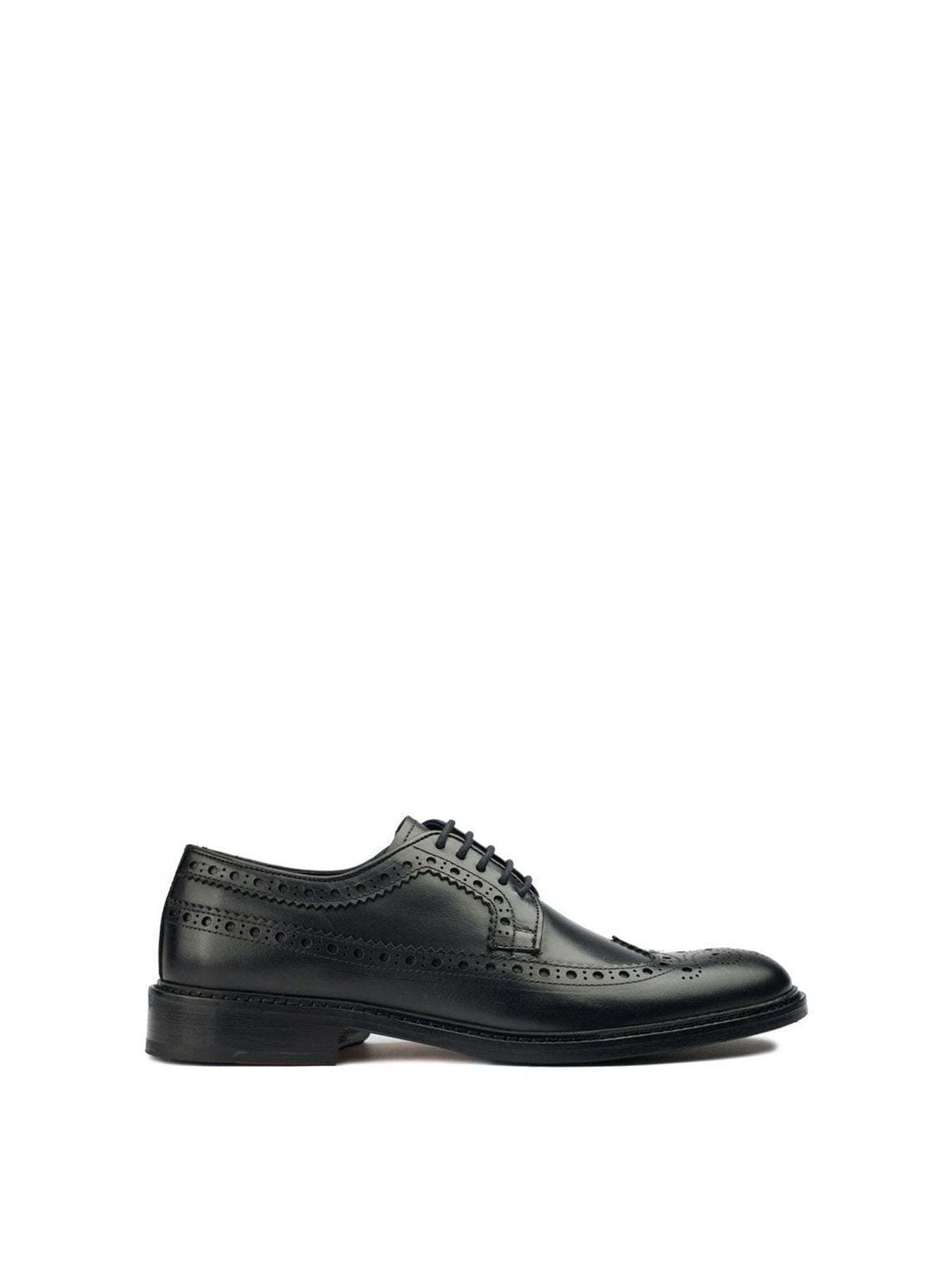 Etham Brogue Shoes Black