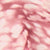 MULTI ABSTRACT BERRY