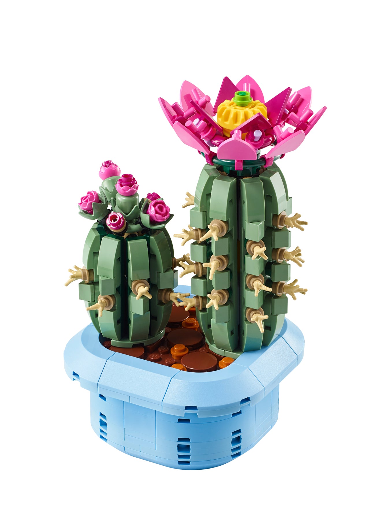 Botanical Flowering Cactus Set 11509