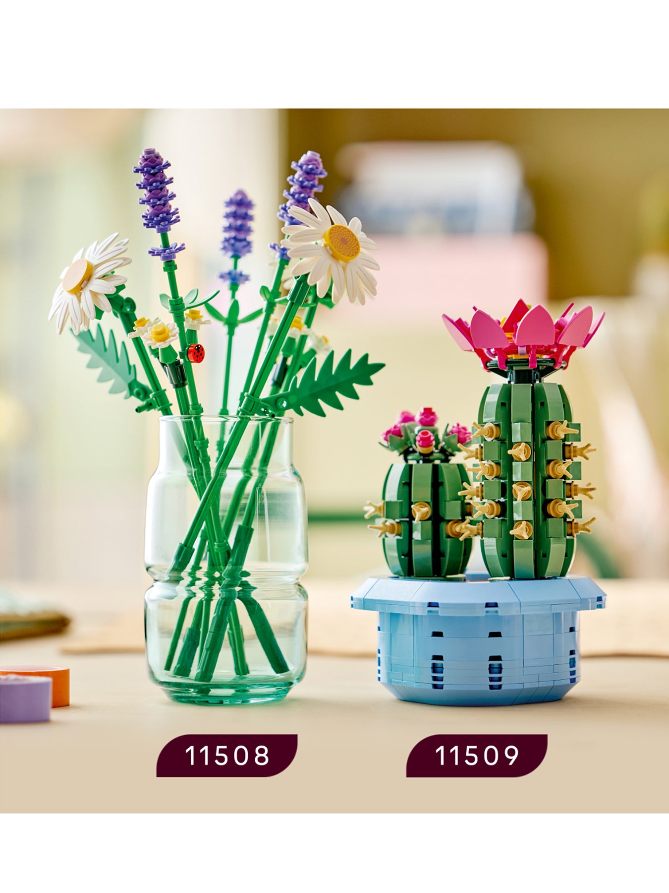 Botanical Flowering Cactus Set 11509