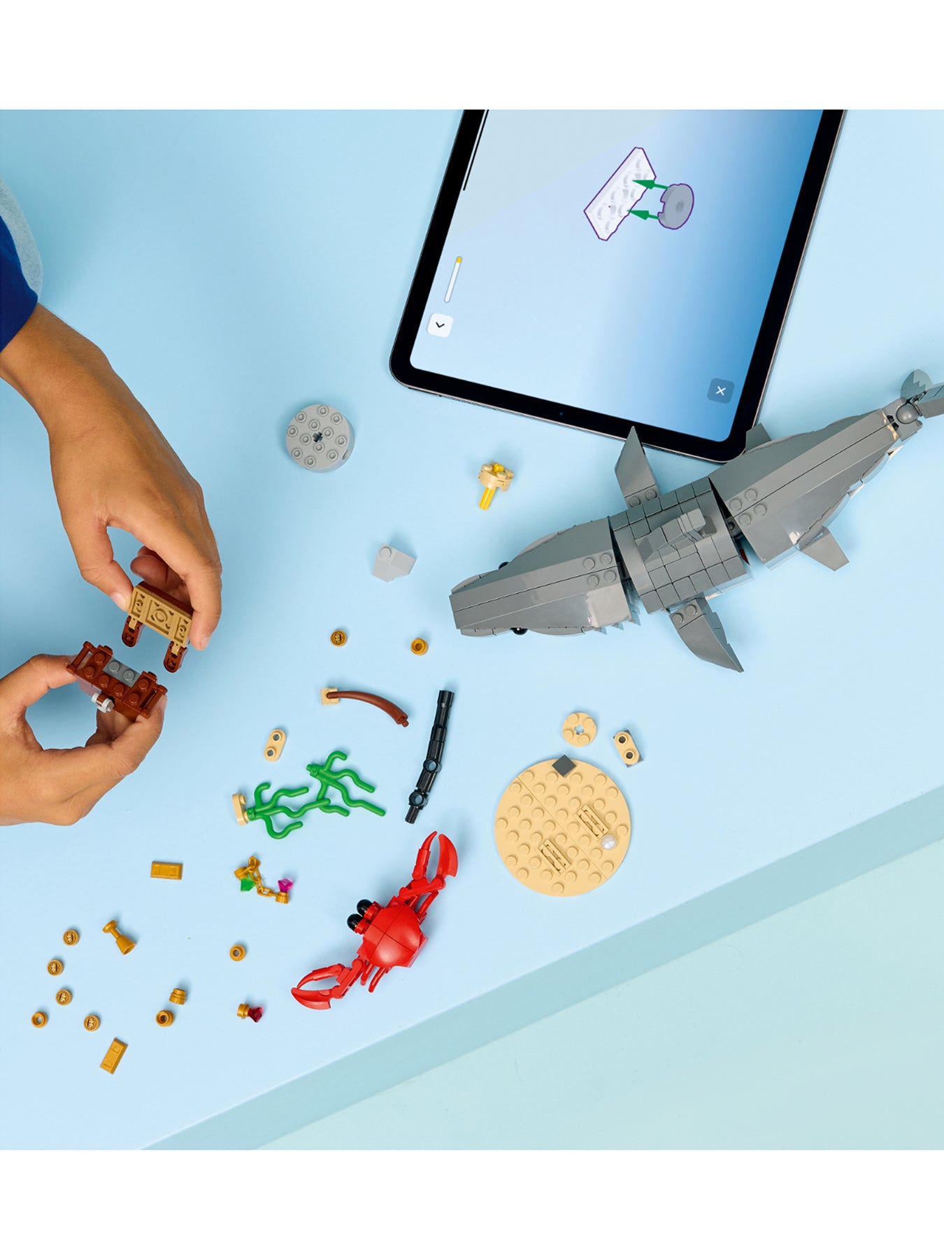 Creator Fierce Shark with Treasure Chest Set 31381