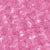 01 Arctic Rose