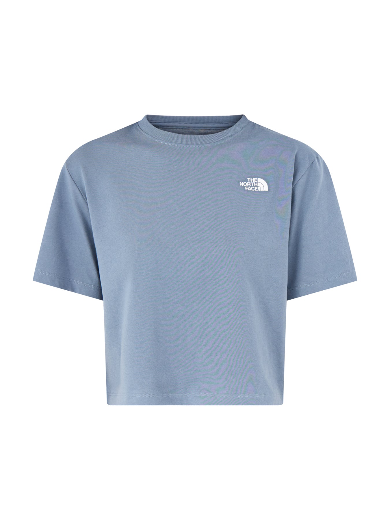 Evolution Simple Dome Crop T Shirt Grey