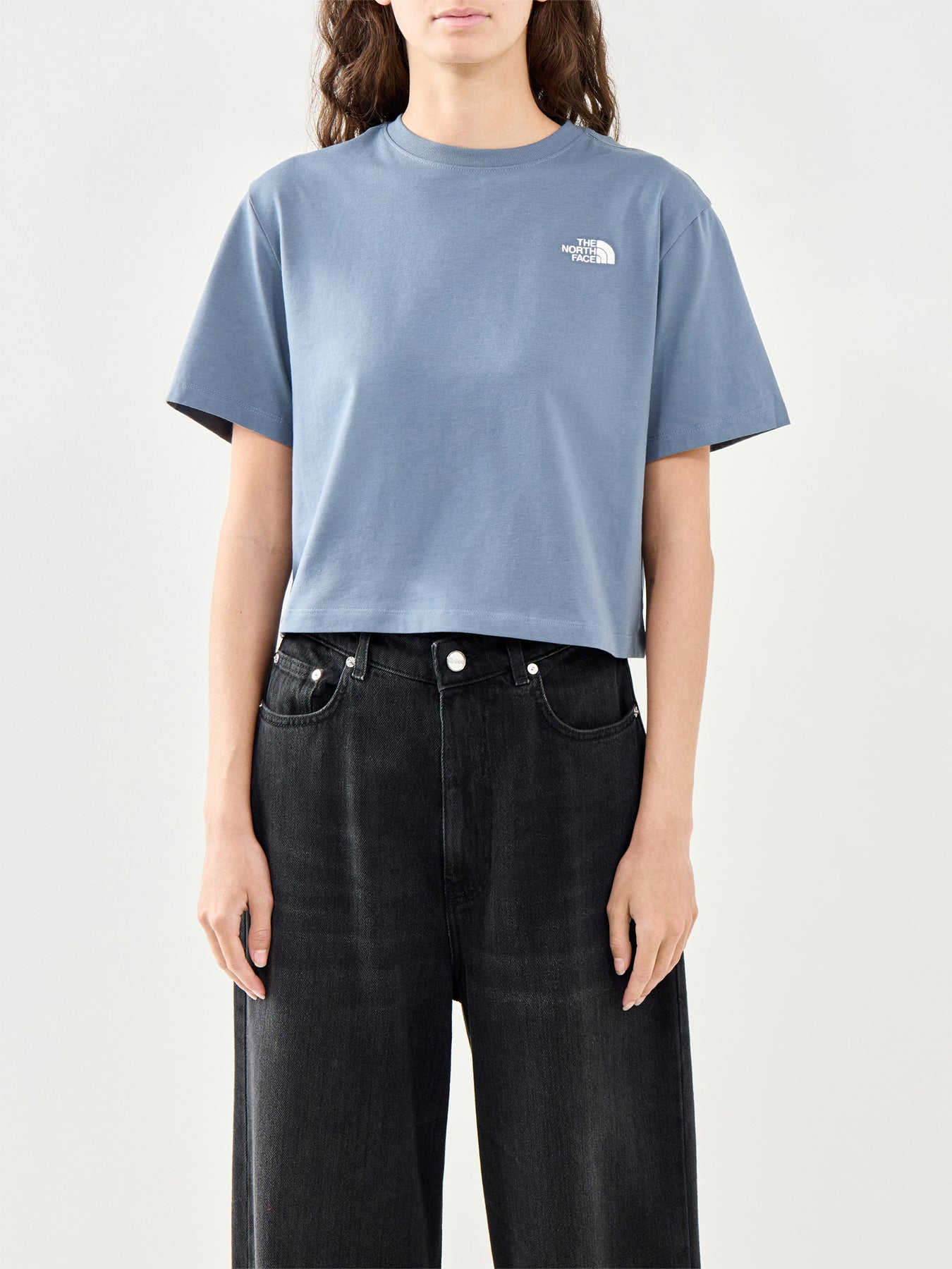 Evolution Simple Dome Crop T Shirt Grey
