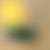 Nature Lemon
