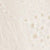 Champagne Sugar