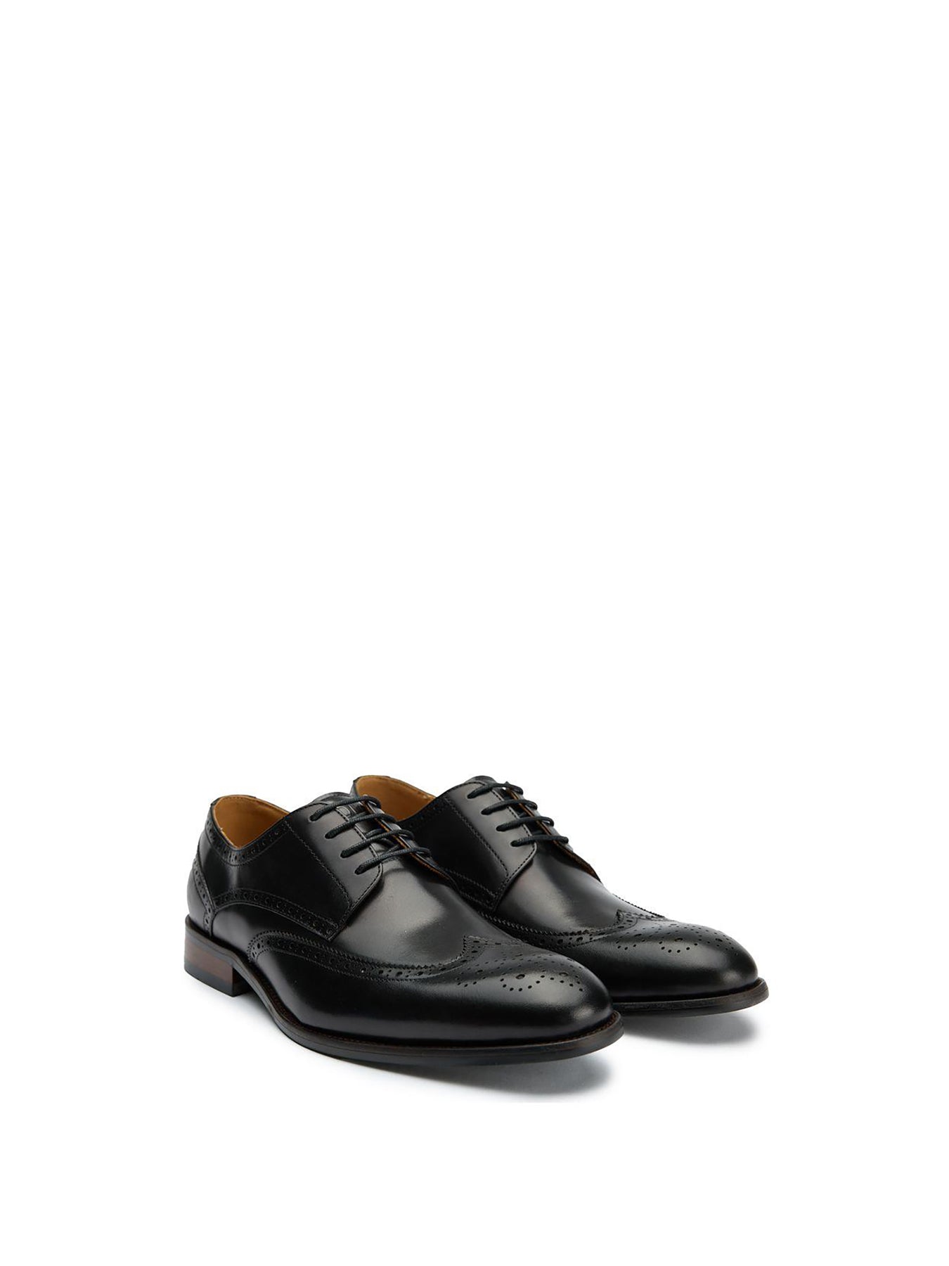 Hoggle Brogue Shoes Black