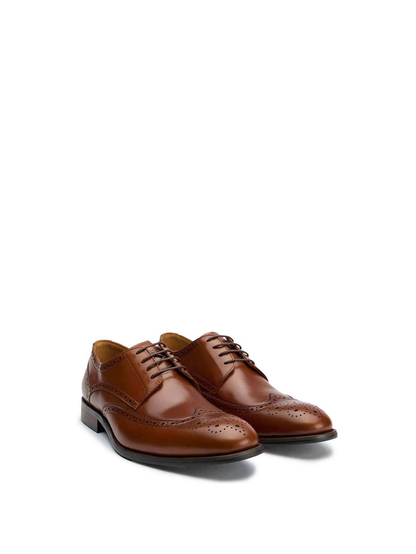 Hoggle Brogue Shoes Tan
