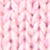 Romance Rose Cherry Barbados Red Green