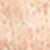 Chocolate Chip Ochre