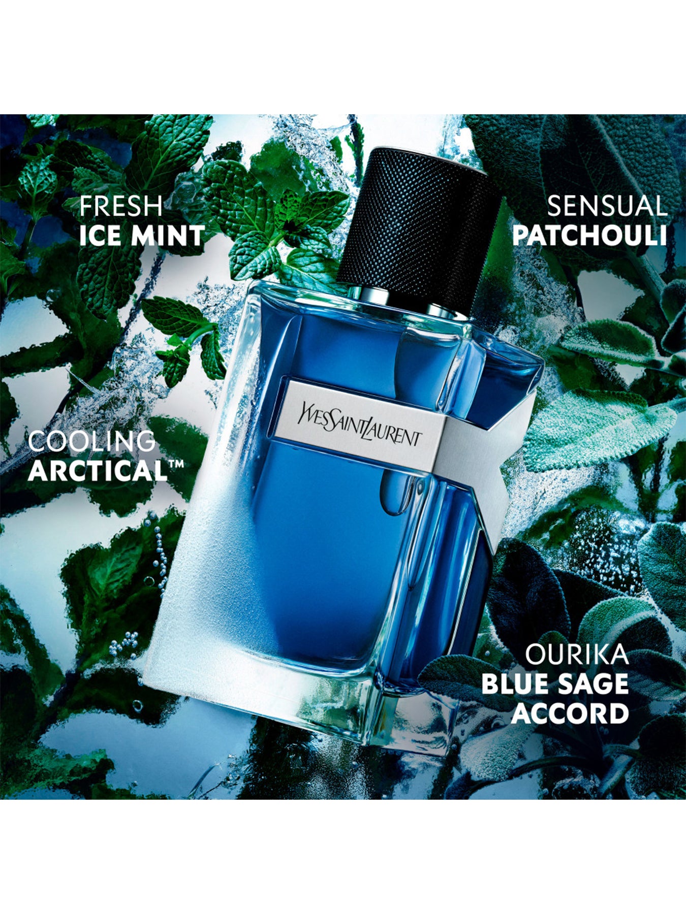 Y Iced Cologne Eau de Toilette 60ml