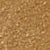 Sahara