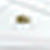 WHITE/GOLD